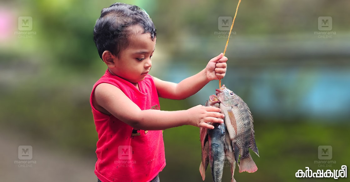 fish-farming-1 fish-farming-1