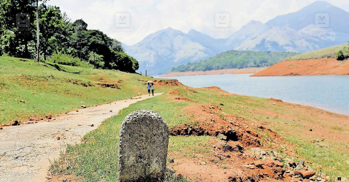 thariyode-villege തരിയോട് ഗ്രാമത്തിലേക്കുള്ള പഴയ കുതിരപാണ്ടി റോഡിന്റെ ഇപ്പോഴത്തെ കാഴ്ച. ബാണാസുര സാഗർ ഡാമിലെ വെളളത്തിനടിയിലേക്ക് നീണ്ടുപോകുകയാണീ റോഡ്. ഒട്ടേറെ വീടുകളും കളിസ്ഥലങ്ങളും കെട്ടിടങ്ങളും ഇപ്പോഴും വെള്ളത്തിനടിയിലുണ്ട്. ചിത്രം: ധനേഷ് അശോകൻ / മനോരമ